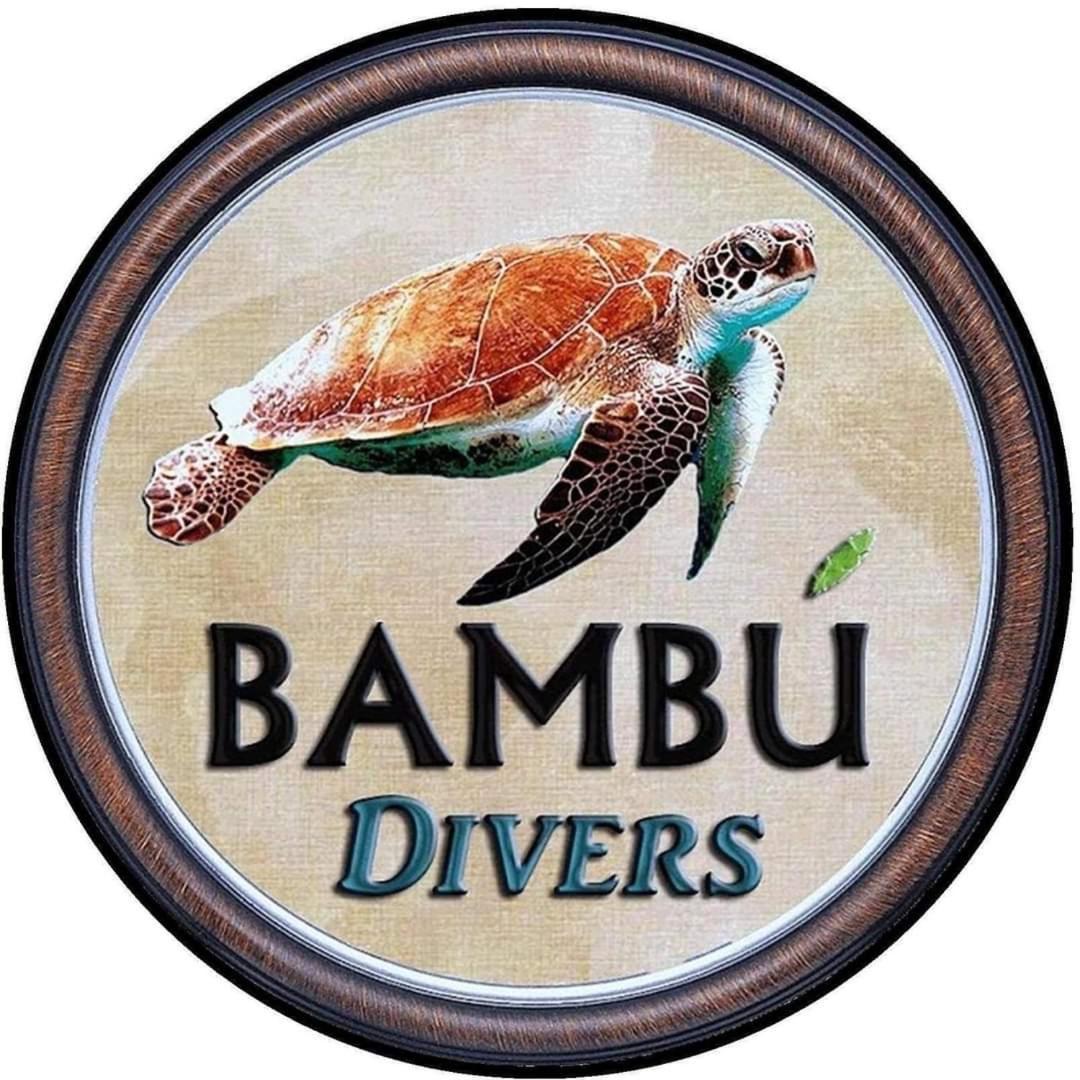 Pondok Bambu Resort - 5 Stars Padi Dive Centre 캔디다사 외부 사진